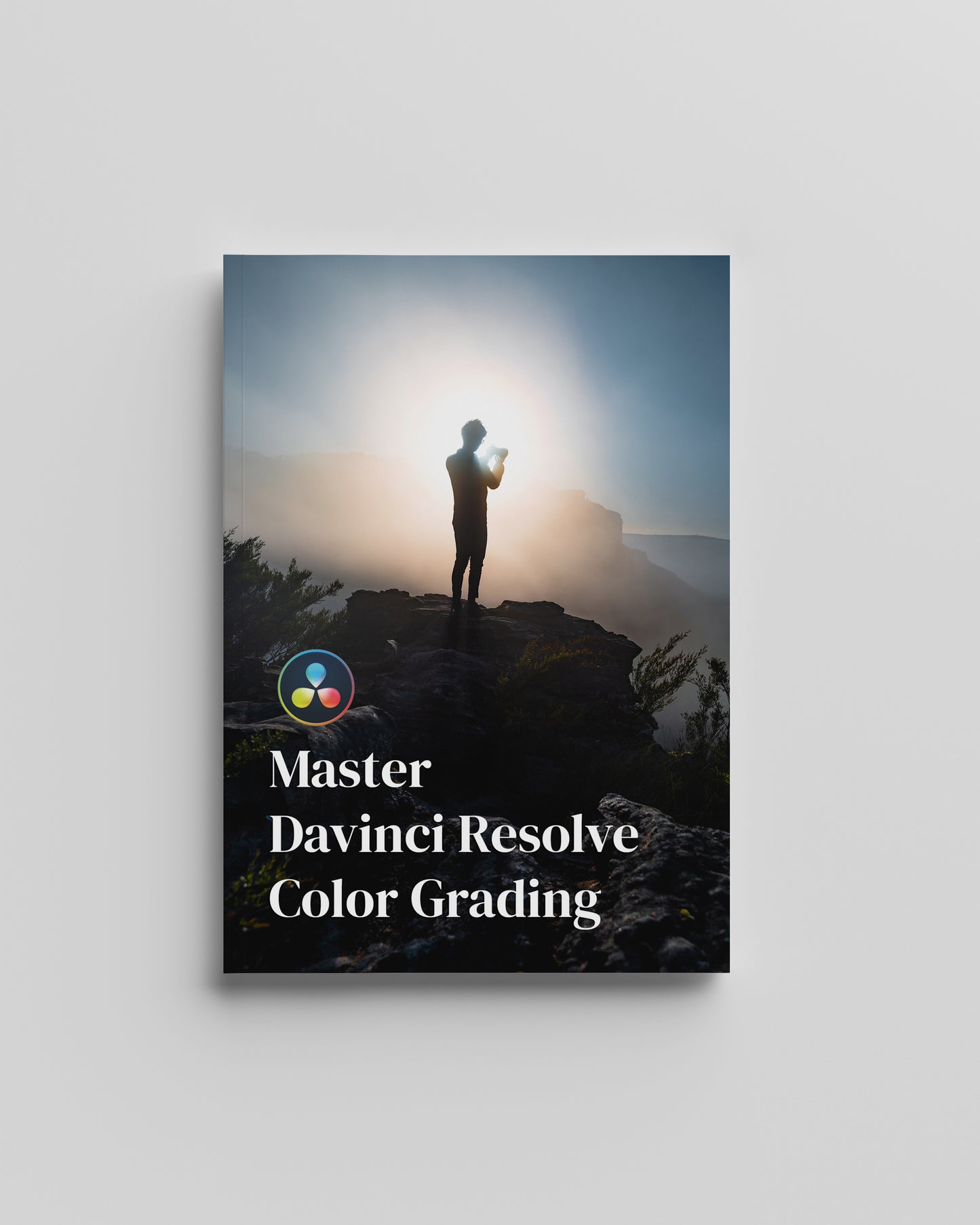 Master Davinci Resolve Color Grading